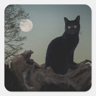 Sticker Carré Chat noir dans un arbre devant une Pleine lune