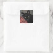 Sticker Carré Chat noir d'Halloween (Sac)