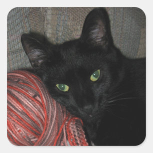 Sticker Carré Chat noir d'Halloween
