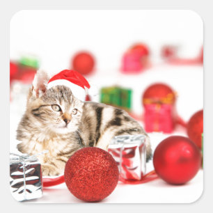 Sticker Carré Chat portant un chapeau de Père Noël rouge Ornemen