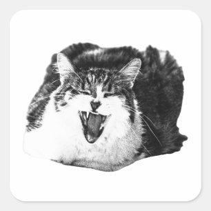 Sticker Carré Chat qui crie, art à décoller