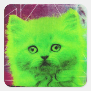 Sticker Carré chat radioactif