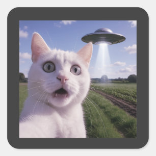 Sticker Carré Chat selfie avec un OVNI alien