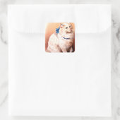 Sticker Carré Chat vintage avec Bleu Bow (Sac)