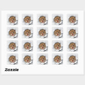 Sticker Carré Chaton (Feuille)