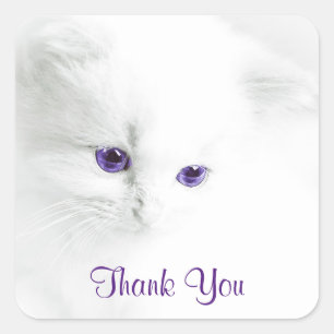 Sticker Carré Chaton blanc doux avec Merci aux yeux violets