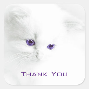 Sticker Carré Chaton blanc doux avec Merci aux yeux violets