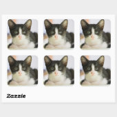 Sticker Carré Chaton Blanc Et Noir Sucré (Feuille)
