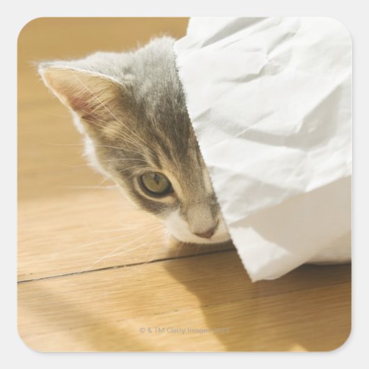 Sticker Carré Chaton caché dans un sac en papier (Devant)