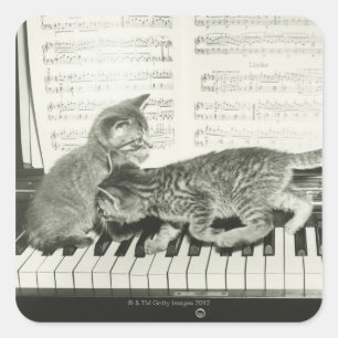 Sticker Carré Chaton deux jouant sur le clavier de piano, (B&W)
