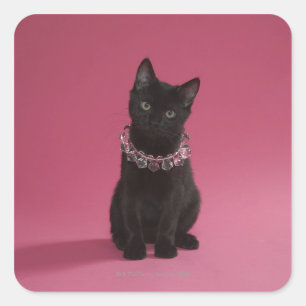 Sticker Carré Chaton noir portant collier bijoux