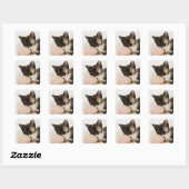 Sticker Carré Chaton posé sur une boule de corde (Feuille)