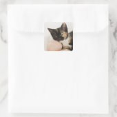 Sticker Carré Chaton posé sur une boule de corde (Sac)