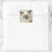 Sticker Carré Chaton Ragdoll (Sac)