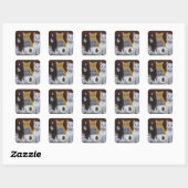 Sticker Carré Chatons Joueurs (Feuille)