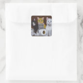 Sticker Carré Chatons Joueurs (Sac)