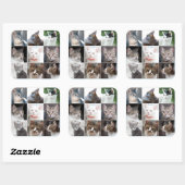 Sticker Carré Chats (Feuille)