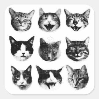 Sticker Carré Chats