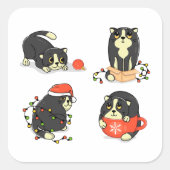 Sticker Carré Chats de Noël mignons et amusants (Devant)