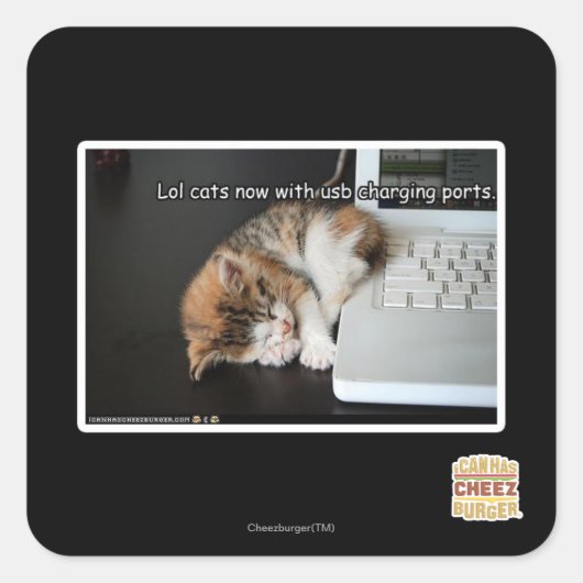 Sticker Carré Chats Lol avec USB (Devant)