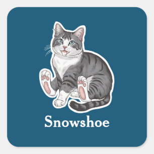 Sticker Carré Chaussure à neige