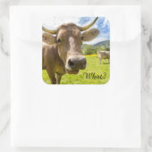 Sticker Carré Cheeky "Quoi ?" Vache (Sac)