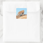 Sticker Carré Cheetah (Sac)