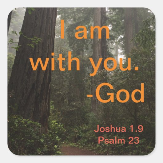 Sticker Carré Chemin Randonnée Redwoods (Devant)