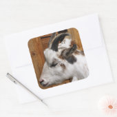 STICKER CARRÉ CHÈQUE CUTE (Enveloppe)