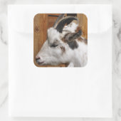 STICKER CARRÉ CHÈQUE CUTE (Sac)