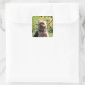 Sticker Carré Chérie simple (Sac)