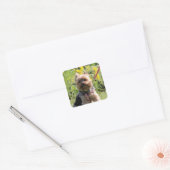 Sticker Carré Chérie simple (Enveloppe)
