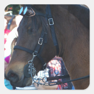 Sticker Carré Cheval arabe Brown foncé portant des lunettes