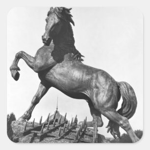 Sticker Carré Cheval avec harrow