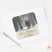 Sticker Carré Cheval Brown pittoresque dans une forêt d'hiver No (Enveloppe)