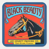 Cheval de beauté noir sur Arrière - plan rouge