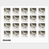 Sticker Carré Cheval Equestre Blanc Mare (Feuille)