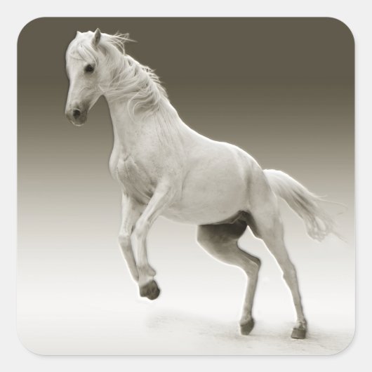 Sticker Carré Cheval Equestre Blanc Mare (Devant)