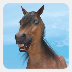 Sticker Carré Cheval heureux