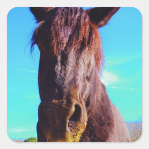 Sticker Carré Cheval pourpre avec Bouche verte