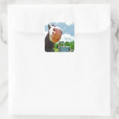 Sticker Carré Cheval souriant (Sac)