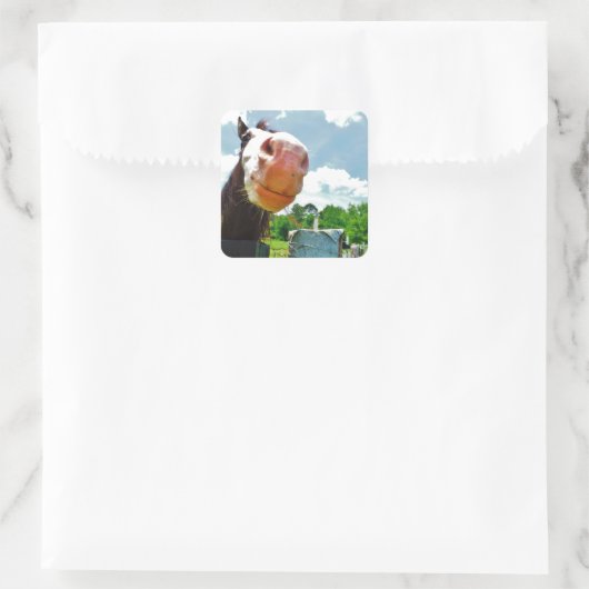 Sticker Carré Cheval souriant (Sac)