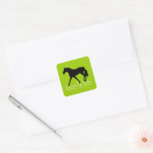 Sticker Carré Cheval Trotter Missouri Fox Silhouette Vert brilla (Enveloppe)