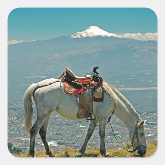 Sticker Carré Cheval & volcan, Quito, Equateur (Devant)
