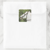 STICKER CARRÉ CHEVAUX (Sac)