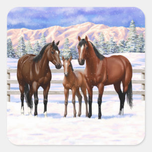 Sticker Carré Chevaux Du Quartier De La Baie Brown En Neige