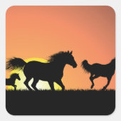 Sticker Carré Chevaux sauvages (Devant)