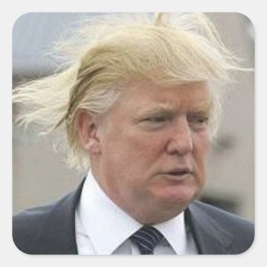 Sticker Carré Cheveux Trump sauvage (Devant)