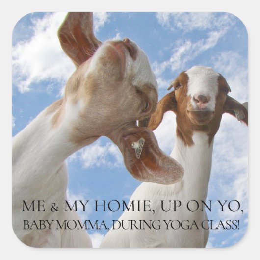 Sticker Carré Chèvre Yoga Sage Cracks (Devant)