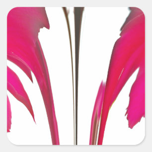 Sticker Carré Chic rouge extraordinaire rose sous le ciel blanc.